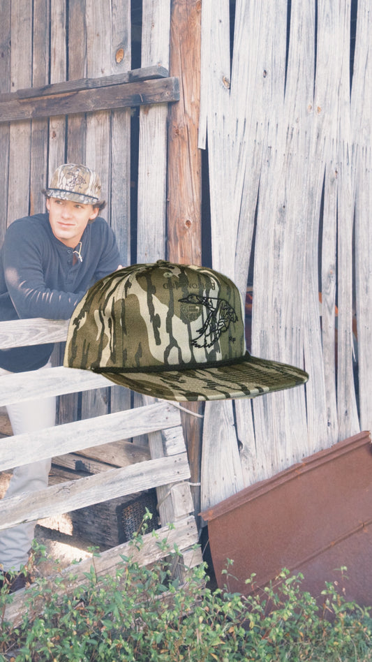 Flyway Drake - Bottomland