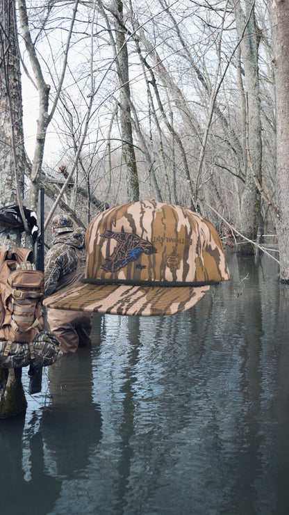 Flyway Drake - Bottomland