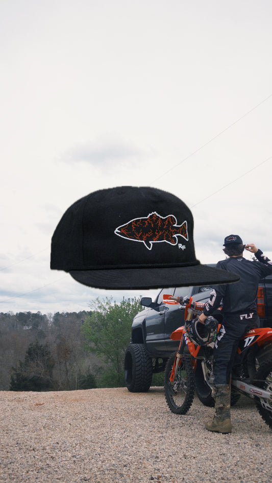 State Lakes - GA - Dawgs