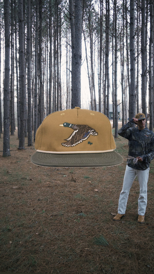 Flyway Drake - Stuttgart