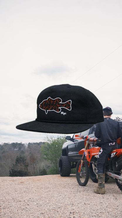 State Lakes - GA - Dawgs