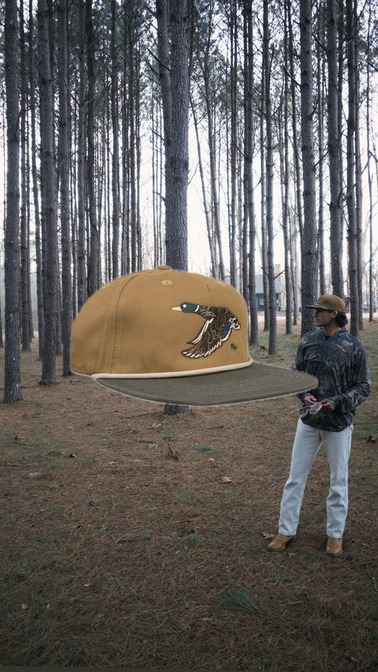 Flyway Drake - Stuttgart