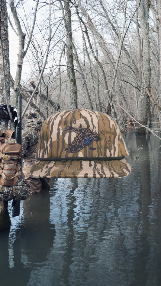Flyway Drake - Bottomland