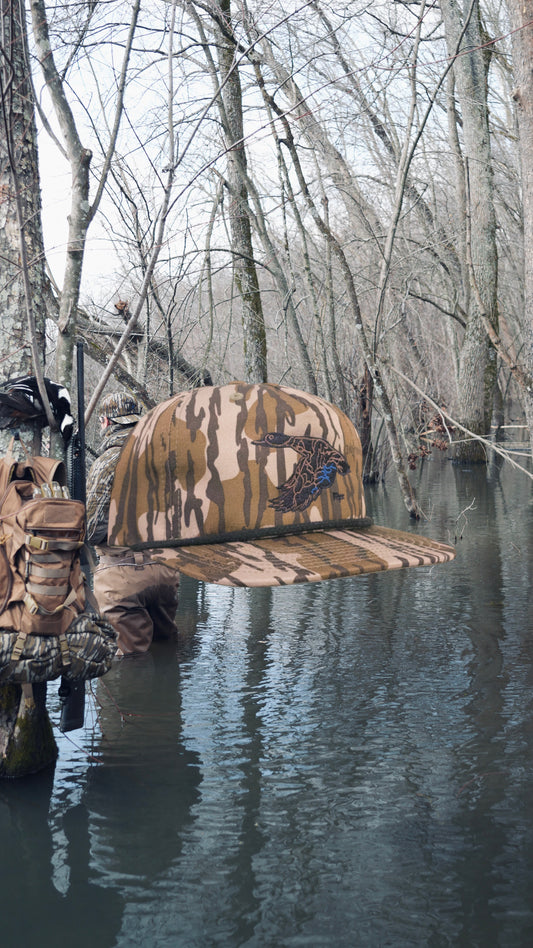 Flyway Drake - Bottomland